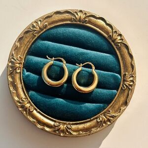 Elegant Gold Hoop Earrings N1406